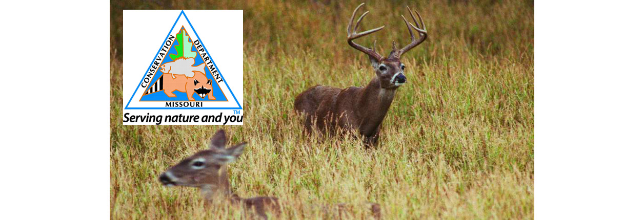 Managed Deer Hunts At Crowder & Pershing State Parks