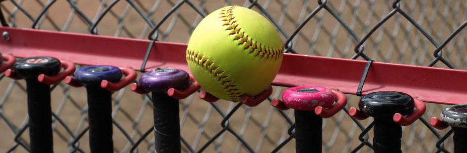 Lady Hornets win Softball Exhibition Game