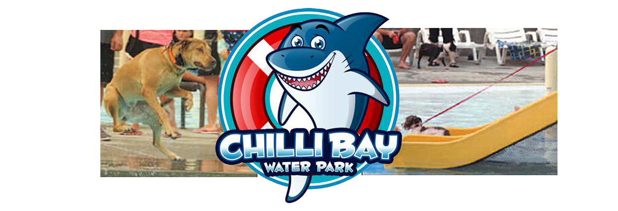 Annual Chilli Bay Doggy Dip Is Labor Day