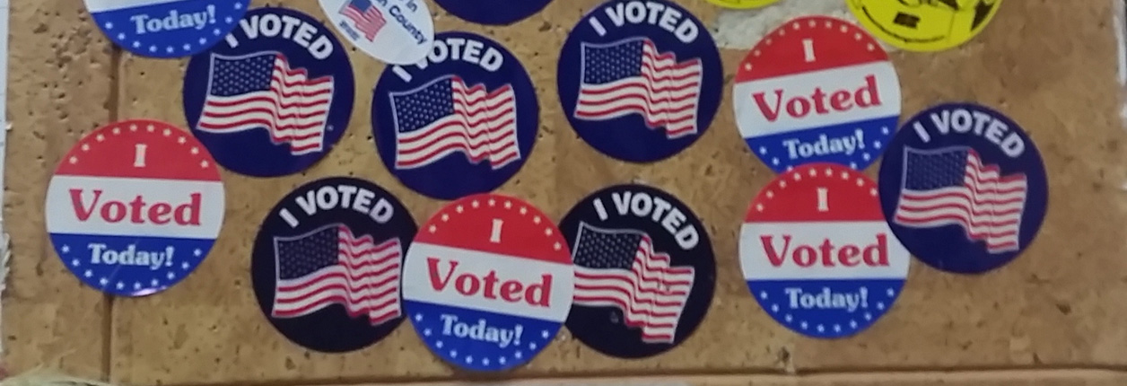 Good Voter Turnout for Primary  – Results For Local Races In The Area Counties