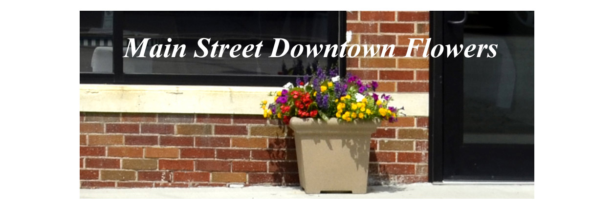 Main Street Watering Downtown Flowers & Trees