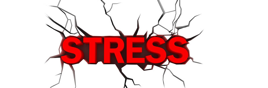 Decreasing Stress In your Life