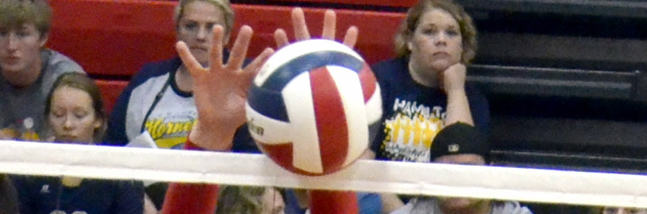 Area District Volleyball Results