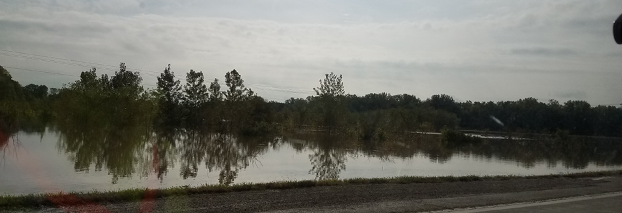 Grand River Flooding Into The Weekend – Update