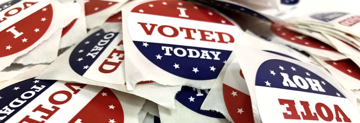 Livingston County Results for the November 6th Election