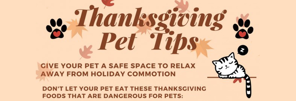 Protect Your Pets and Guests In The Holidays