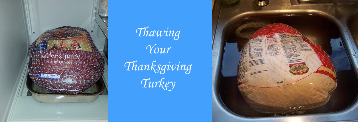 Thanksgiving Preparations – Thawing The Bird