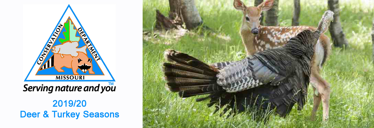 MDC Sets The 2019/2020 Deer And Turkey Hunting Seasons