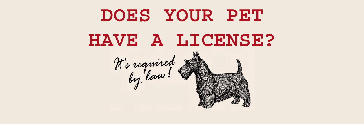 Chillicothe Pet License Renewals Due January 1st