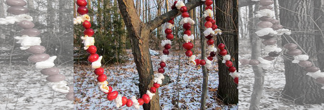 Feed The Birds And Re-Use That Tree After Christmas