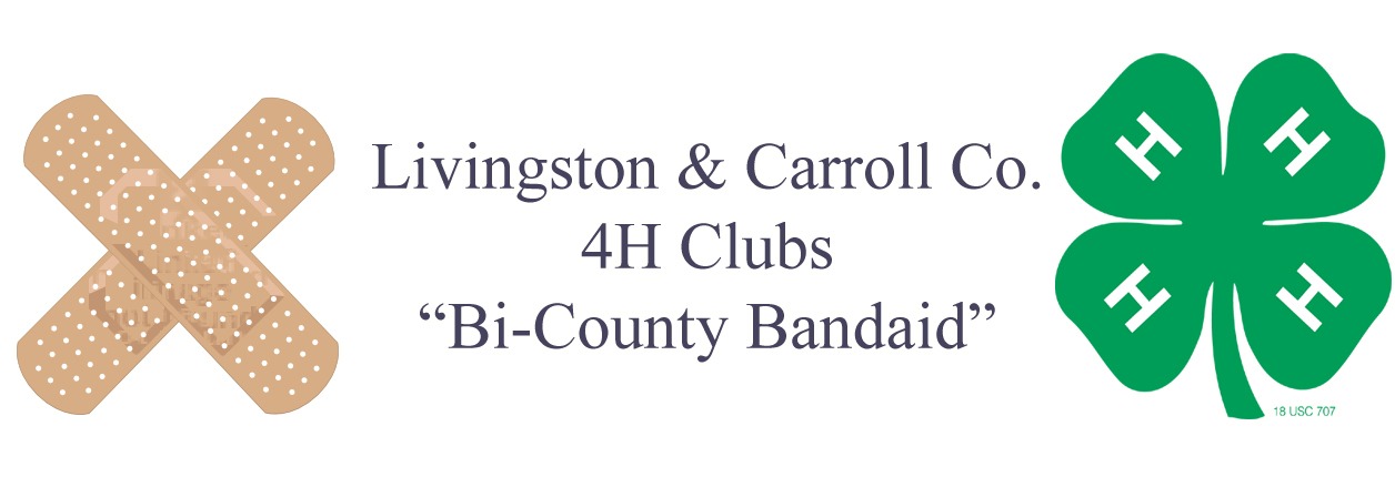 Livingston & Carroll Co. 4H –  “Bi-County Bandaid”