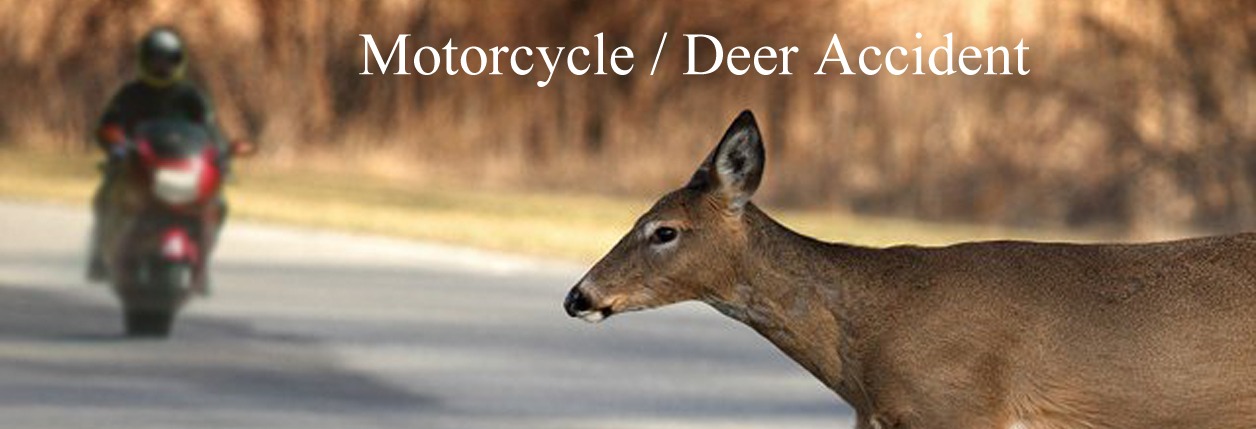 Motorcycle vs Deer seriously injures one.