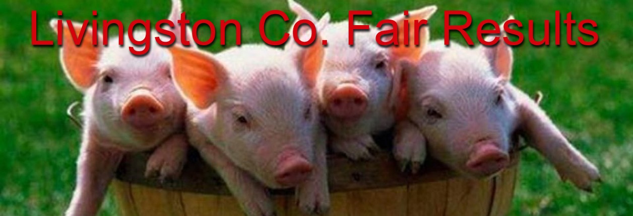 Livingston County Fair Results – Poultry & Breeding Swine