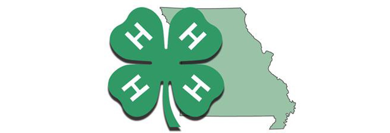 Hansen Selected As Candidate For MO State 4-H Council President