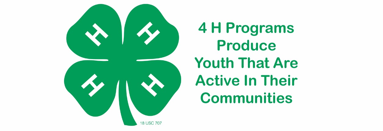 Study Shows 4H Youth Become Active Community Members