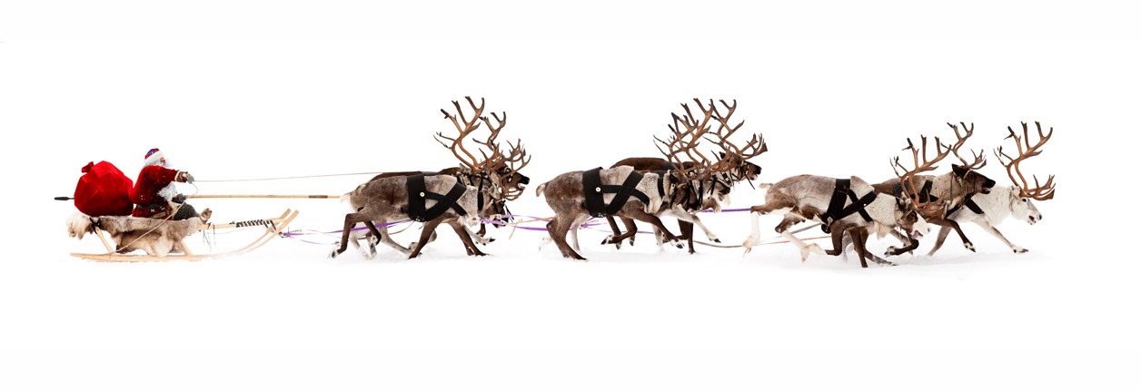 Santa, Reindeer And Sleigh Approved For USDA Permits – Christmas Is A GO!