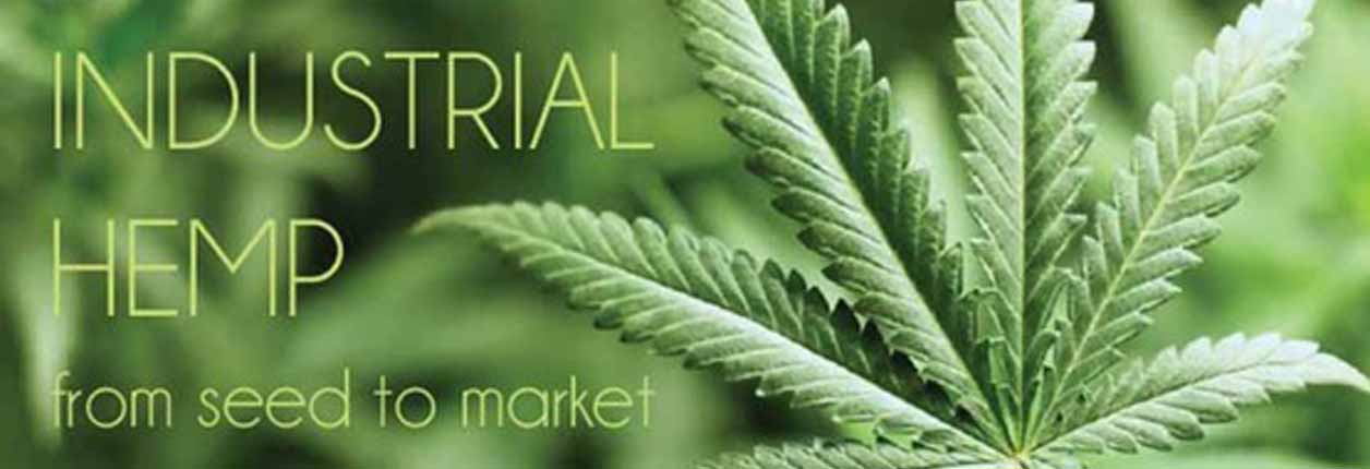 Area Producers Can Find Out About Growing Industrial Hemp