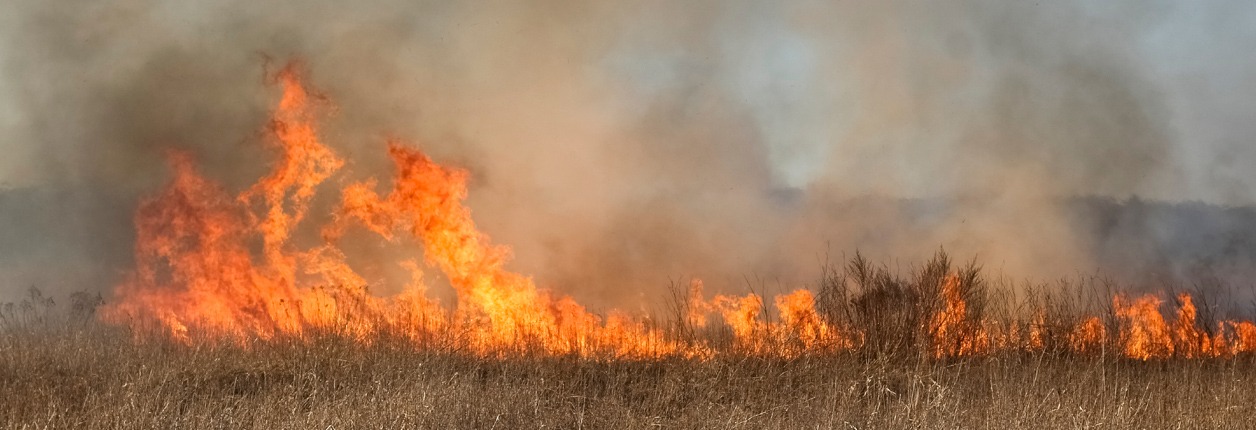 Grass Fire Saturday In Northern Chillicothe