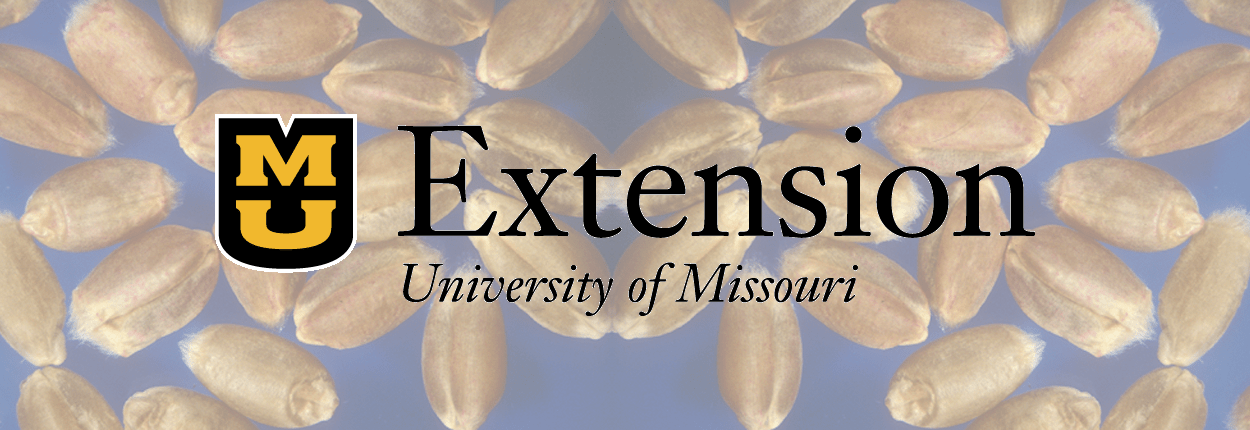 MU Extension – Grain Marketing Workshop