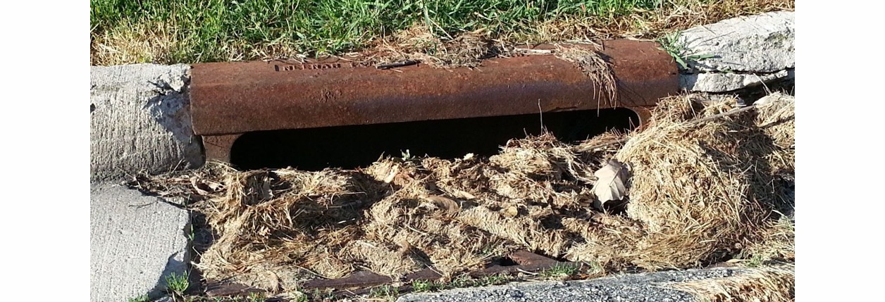 Grass Clippings Don’t Belong In The Street