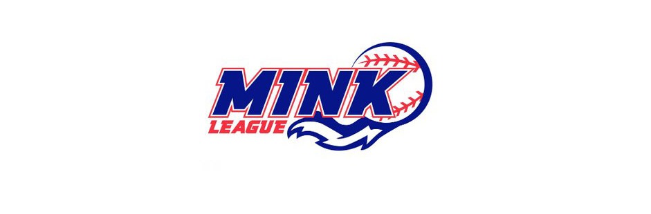 MINK League Adds 1 Team