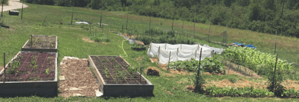 Vegetable Gardener Webinar