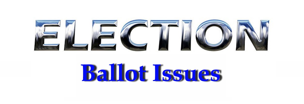 November Election – State Ballot Issues – Amendment 4