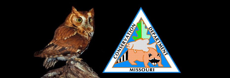 Owls of Missouri