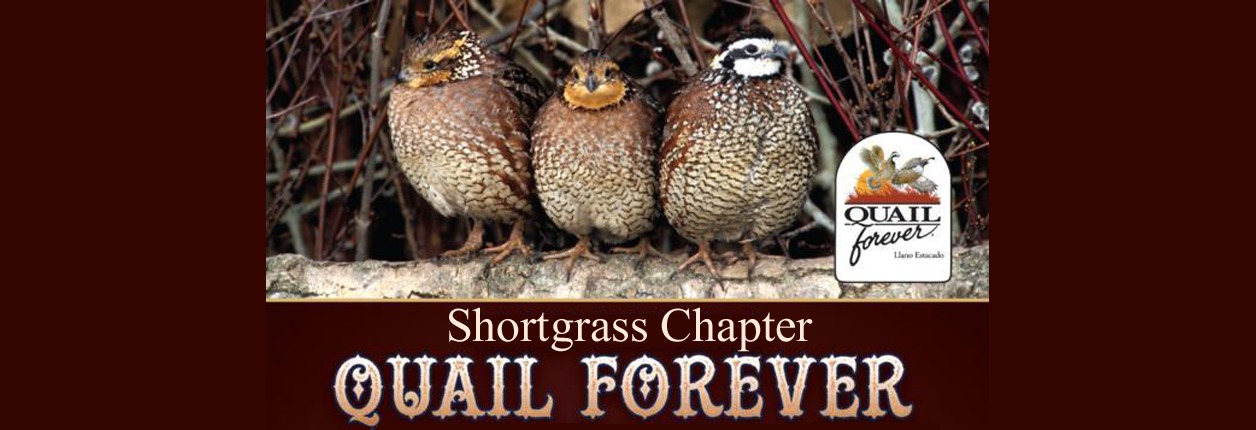Shortgrass Chapter Of Quail Forever Banquet