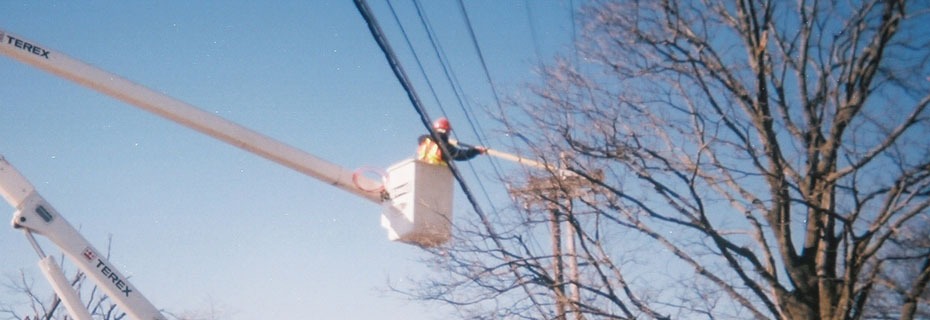 CMU Tree Trimming Contract Awarded