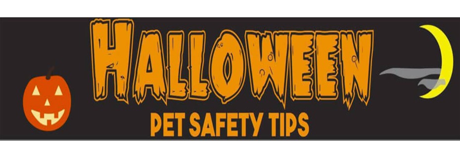 Halloween Animal Safety
