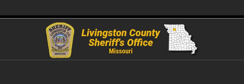 Livingston County Sheriff’s Report