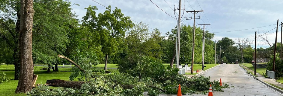 Storm Damages Include Trees And Power Outages