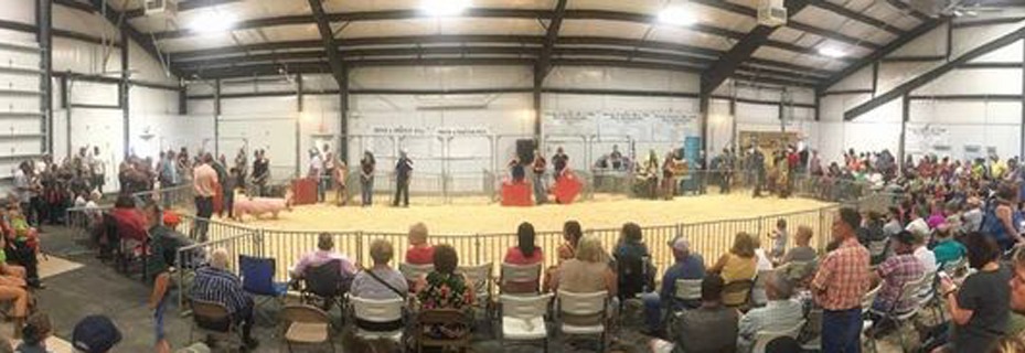 Supreme Showman Competition Added To Livingston County Fair