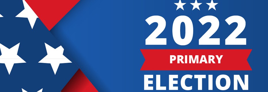 August 2nd Primary Races For Livingston County