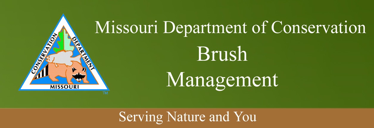 MDC & Quail Forever Offer Brush Management