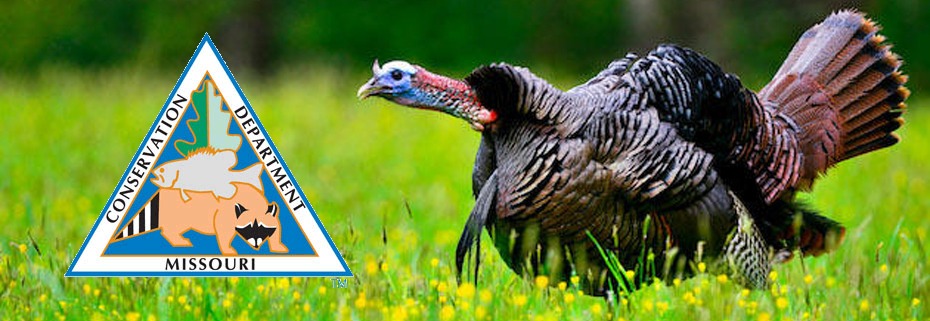 Managed Turkey Hunt Applications