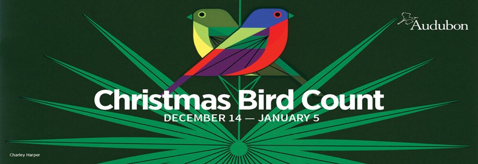 123rd Christmas Bird Count