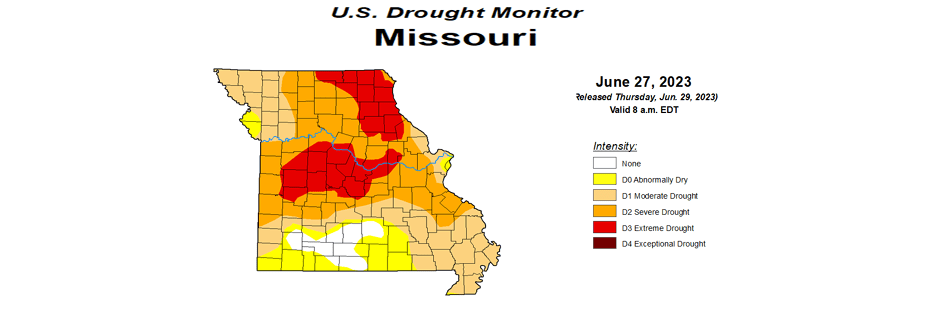 Drought Continues Despite Recent Rain