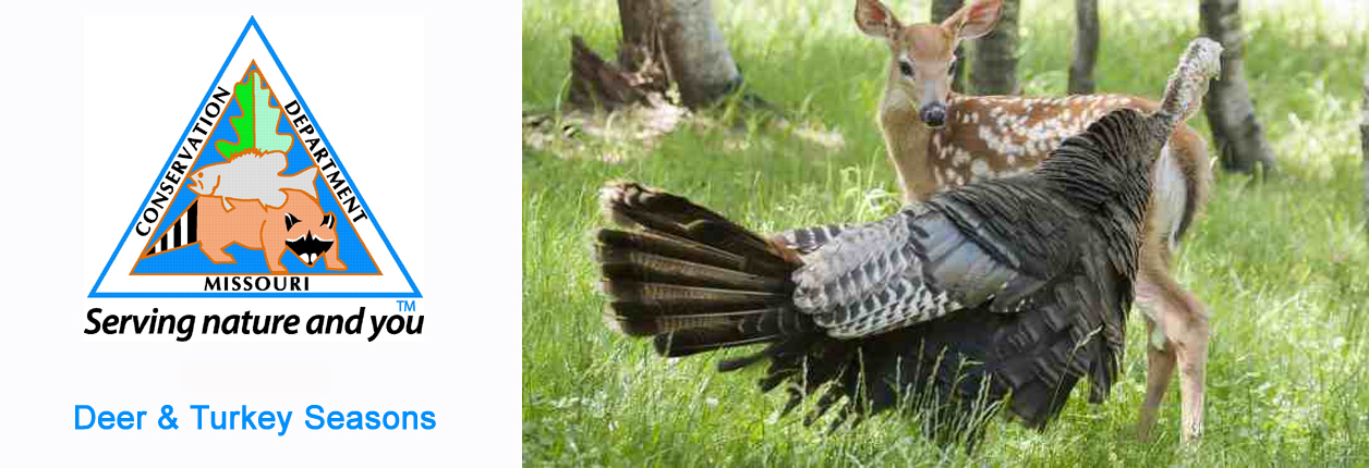 MDC Sets 2025/26 Deer & Turkey Hunting Dates