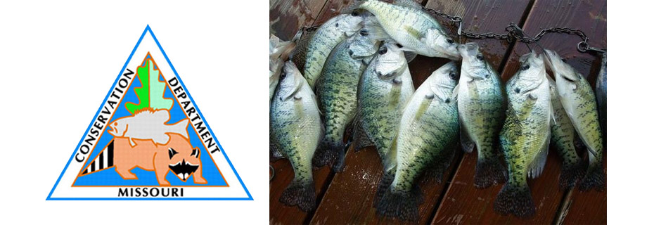 Advanced Crappie Fishing Technique Virtual Program