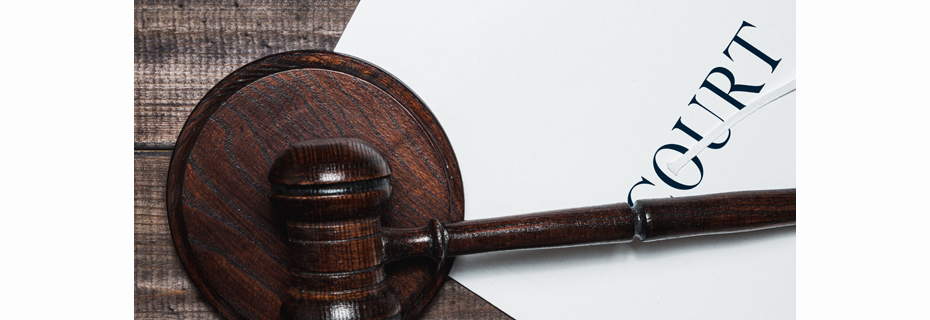 Livingston County Court Filings