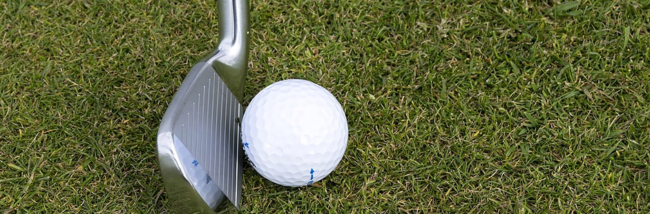 Mathew and Trout Compete in Boys Golf State Competition